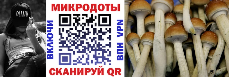 ОМГ ОМГ как зайти  Красногорск  Галлюциногенные грибы Psilocybe 